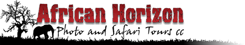 African Horizon Tours Logo